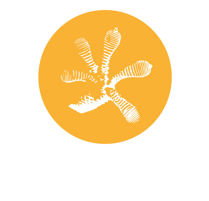 logo-gecko-blanco